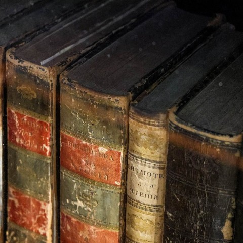 Leilão Literário de Raridades: Colecionadores prontos para a Caça aos Tesouros Literários