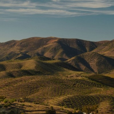 Imagem de Testemunho 1