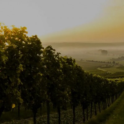 Imagem de Testemunho 2